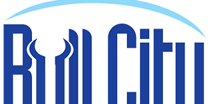 Bull City Financial Solutions bull city collection